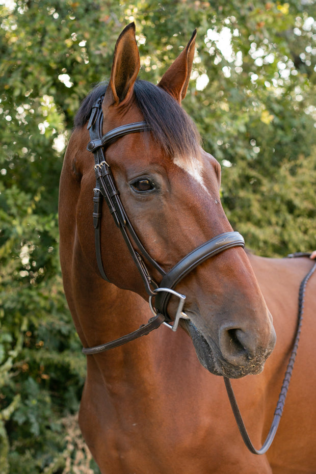 Noland Schooling Hunter Bridle