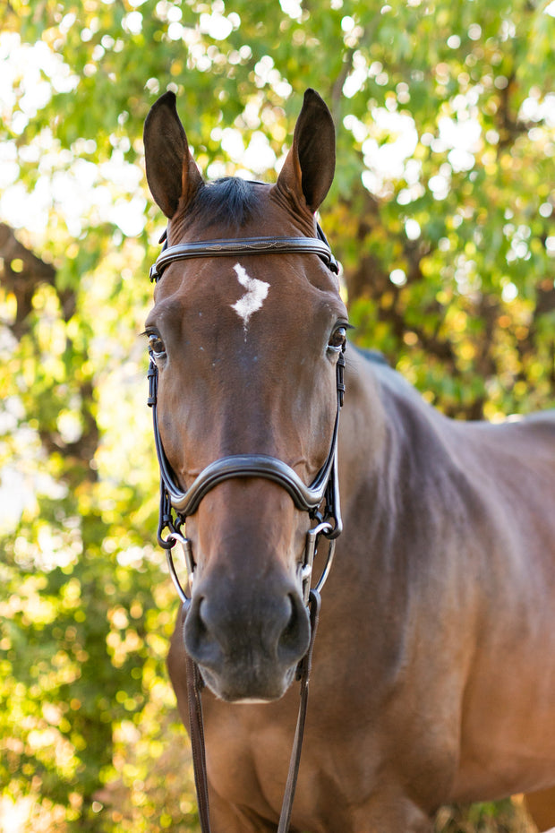 Noland Schooling Anatomical Bridle