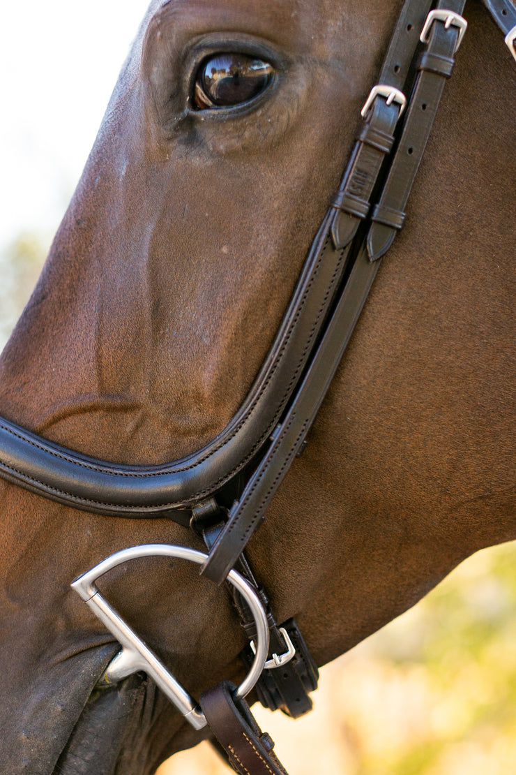 Noland Schooling Anatomical Bridle