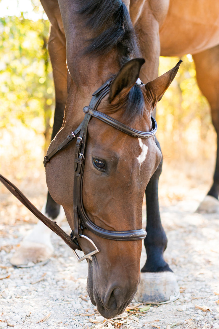 Noland Schooling Anatomical Bridle