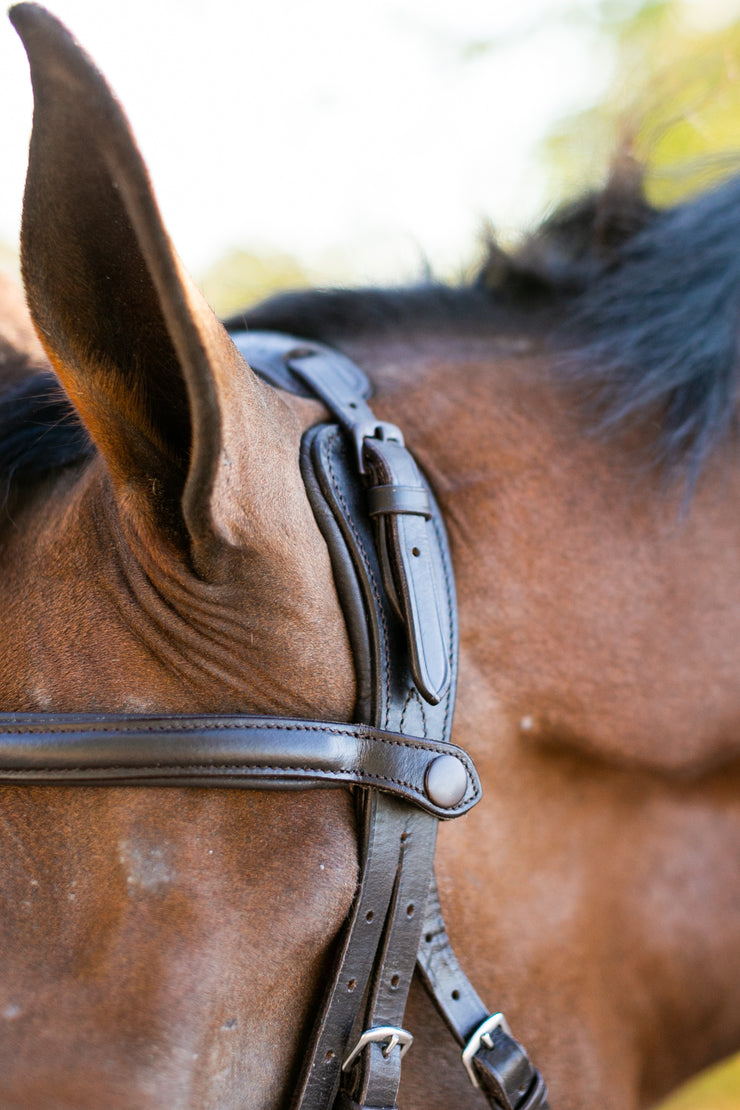 Noland Schooling Anatomical Bridle