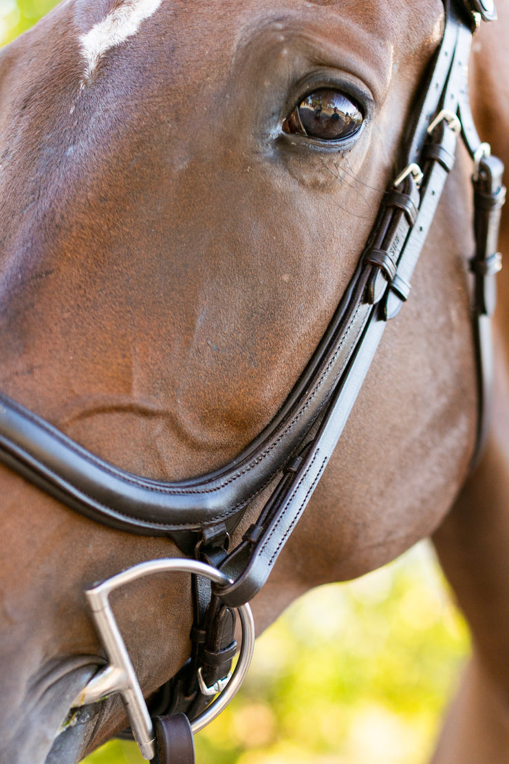 Noland Schooling Anatomical Bridle