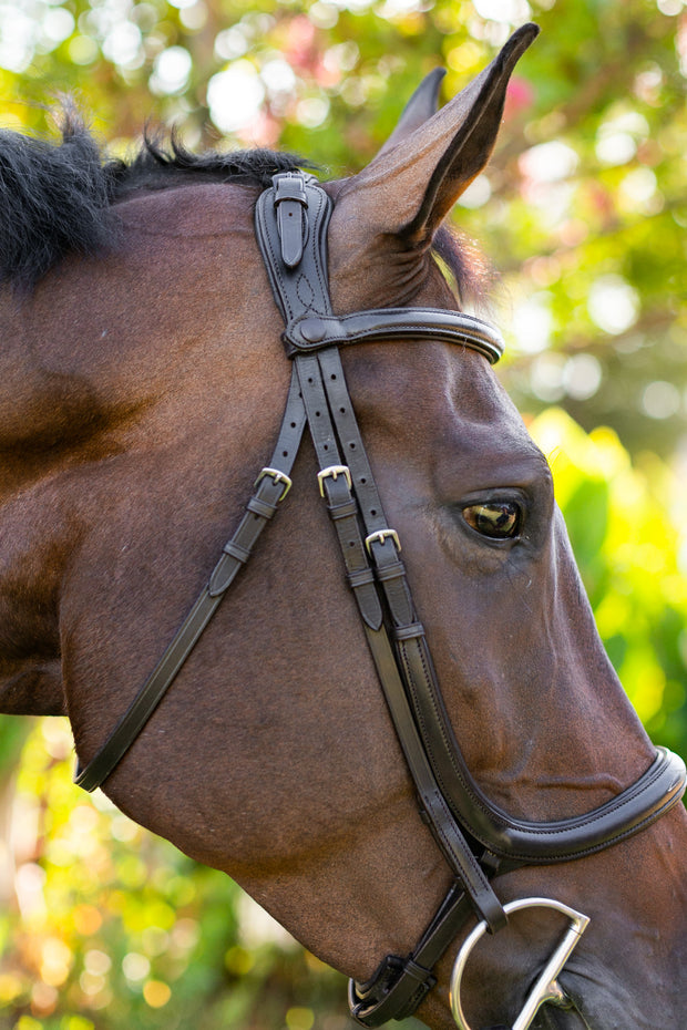 Noland Schooling Anatomical Bridle