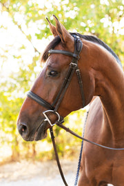 Noland Schooling Hunter Bridle